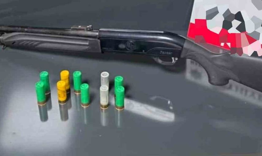 Muğla'da ağustos operasyonları: dört çetenin çöküşü ve 29 tutuklama