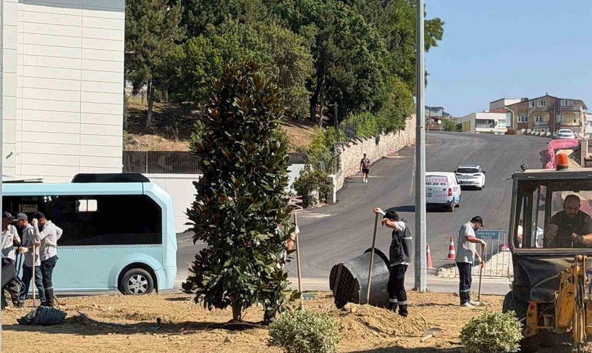 Karabük’ün girişleri 200 ağaçla yeşilleniyor