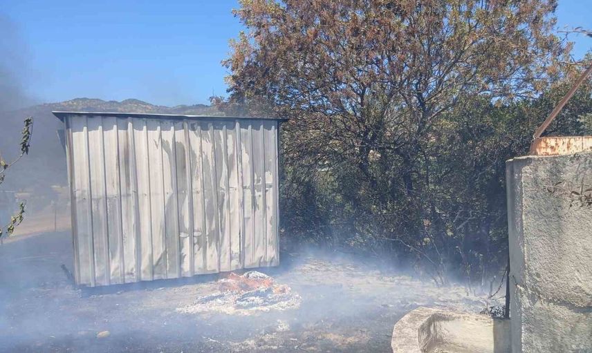 Karpuzlu'da rüzgarla yayılan zeytinlik yangını itfaiyenin müdahalesiyle durduruldu