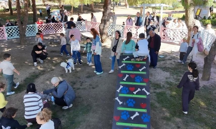 Tekpati: minikler ve can dostları için renkli bir buluşma