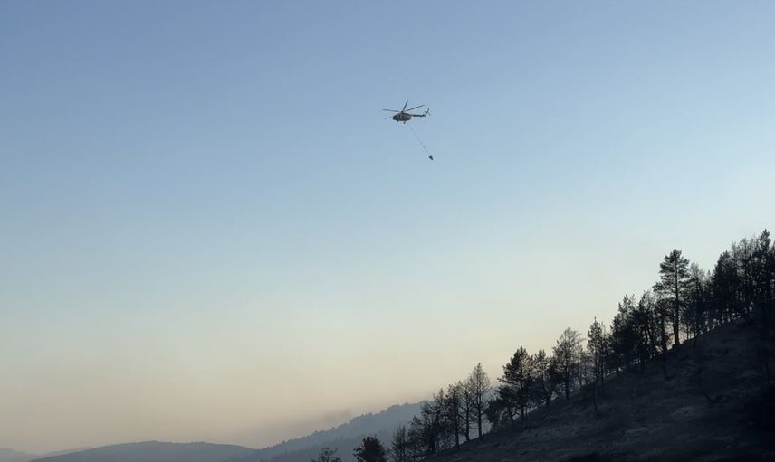 Işık Dağı'nda söndürme seferberliği: 60 personel ve 14 araç yangını kontrol altına aldı