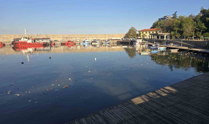 Zonguldak limanında kıyıya vuran atıklar sahil temizliğini gündeme taşıdı