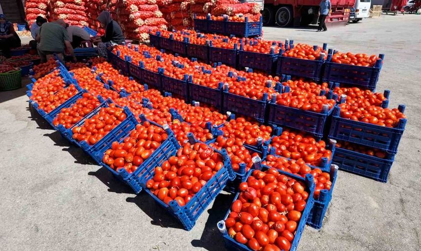 Niğde’de kışlık salça hazırlıkları halde hız kazandı