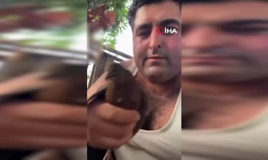 Alanya'da sosyal medyaya yansıyan kuşlara şiddet olayı