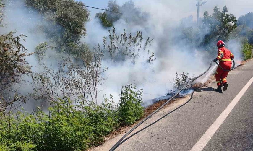 Ula’da yol kenarında yükselen alevler itfaiyenin hızlı müdahalesiyle söndürüldü