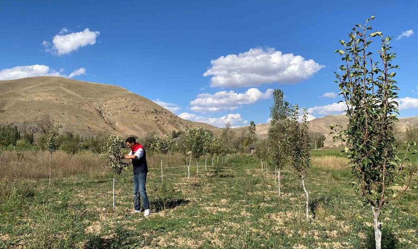 Bayburt'ta kapalı meyve bahçelerinde düzenli kontrol ve teknik destek