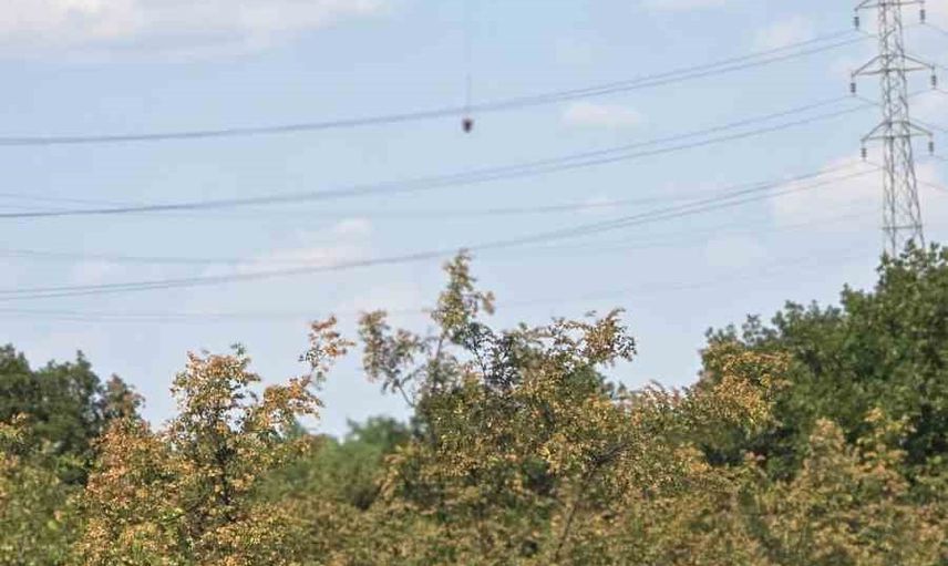 Hava desteğiyle yürütülen seferberlik: Edirne'de anız yangını ormana ulaştı