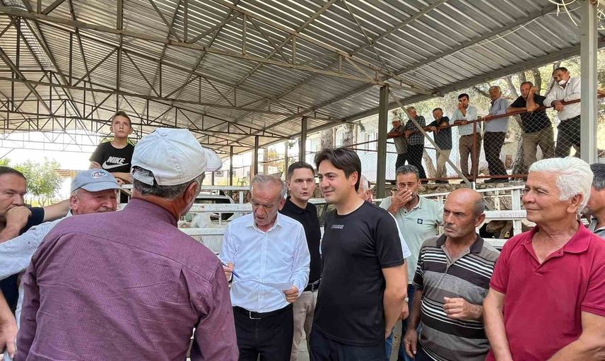 Yangın sonrası geçim desteği: Seydikemer'de 114 küçükbaş teslimi