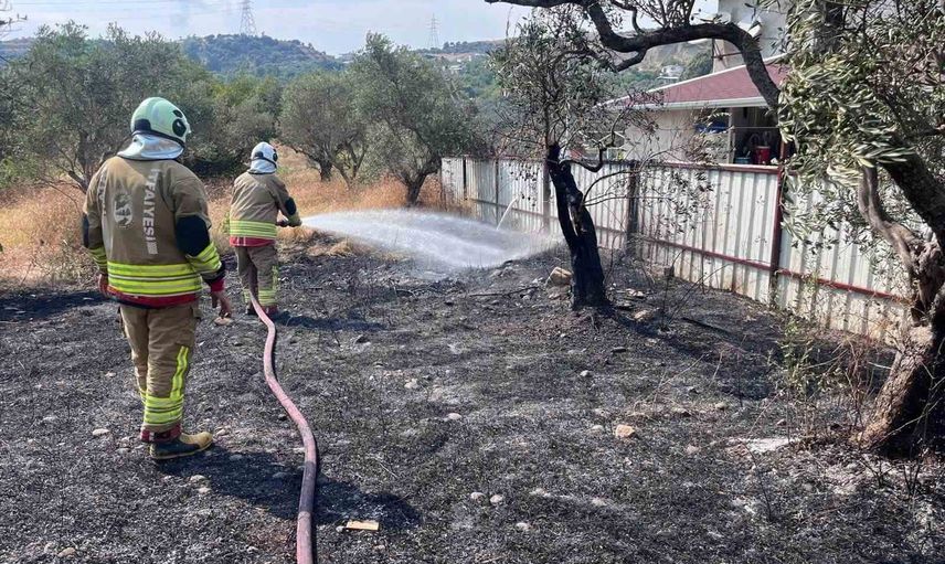 Tavla Mahallesi'nde zeytinlikte başlayan alevler büyümeden durduruldu