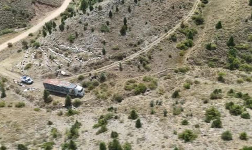Yaylalarda çiçekten çiçeğe taşınan tırda 240 kovanla doğal bal