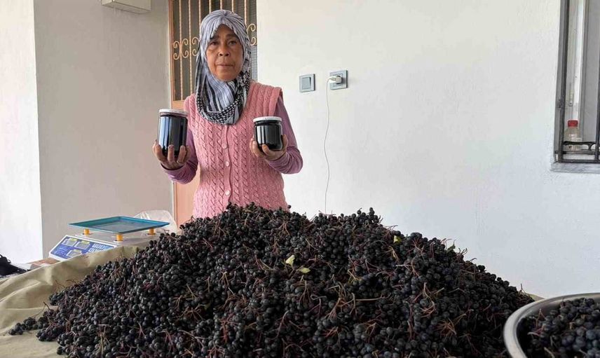 Yayla bahçesinden gelir: aronya reçeliyle aile ekonomisine destek