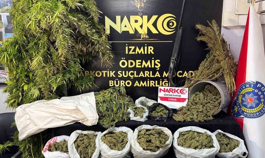 İzmir'de iki ilçede geniş çaplı uyuşturucu operasyonu