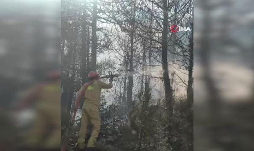 Yangından kaçarken toprağa gömülen kaplumbağa Manavgat'ta kurtarıldı