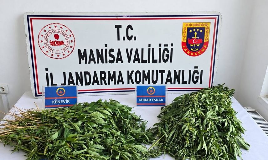 Manisa'da jandarmadan dört ilçede eş zamanlı uyuşturucu operasyonu
