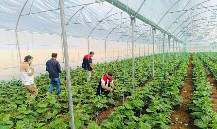 Katran köyünde seracılık denetimi: üreticilere sürdürülebilir yetiştiricilik eğitimi