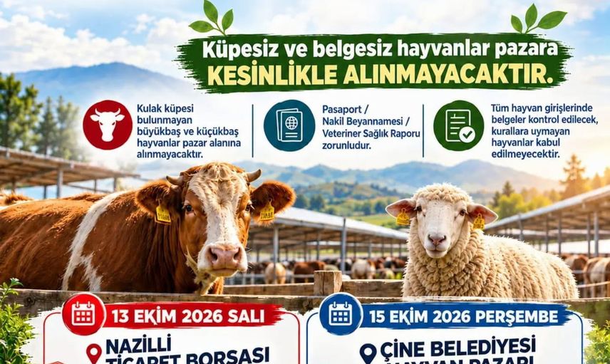 Nazilli ve Çine hayvan pazarlarında belgeli dönem başlıyor