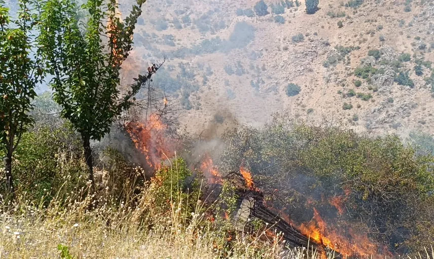 Doğanşehir'de yangın tarımı vurdu: meyve ağaçları ve üzüm bağları zarar gördü