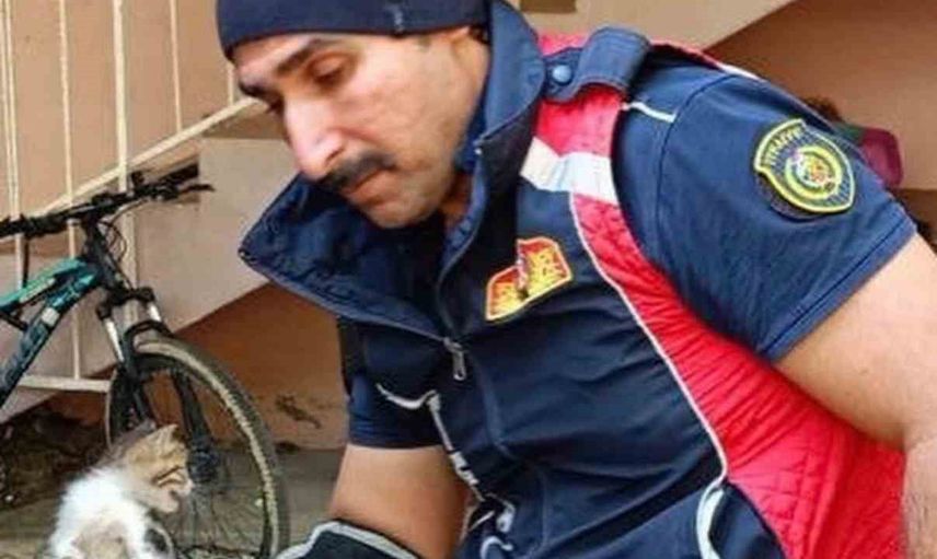 Belen ve Antakya'da mahsur kalan hayvanlar ekiplerin müdahalesiyle kurtarıldı