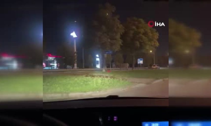 Yol kenarına bağlanan eşek çevrede dikkat topladı