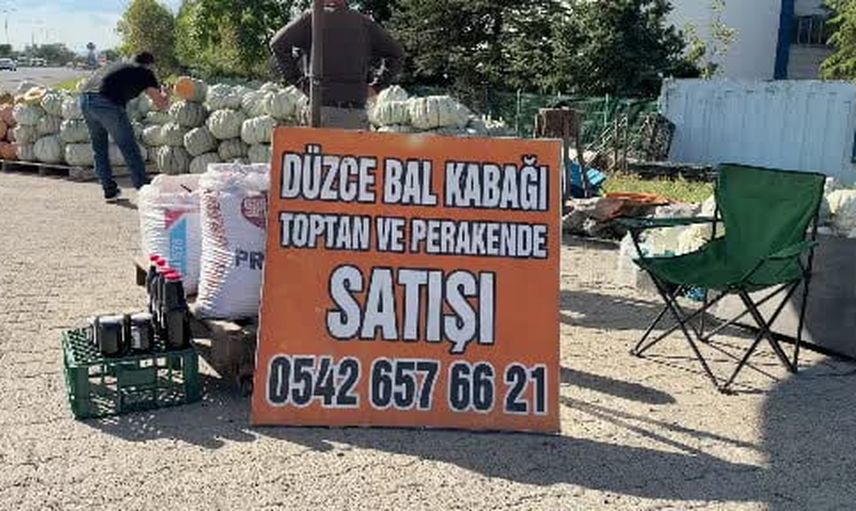 düzce kabağı yurtdışına kadar uzanan lezzetiyle öne çıkıyor