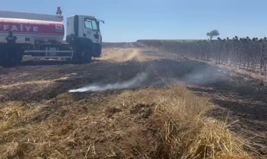 Tekirdağ Muratlı'da Anız Yangını: İtfaiye Hızlı Müdahaleyle Kontrol Altında