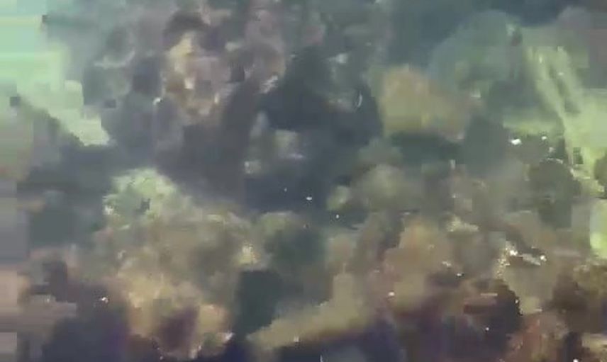 Kaş’ta arıtma hattından denize atık su karıştı, ASAT’a 839 bin lira ceza