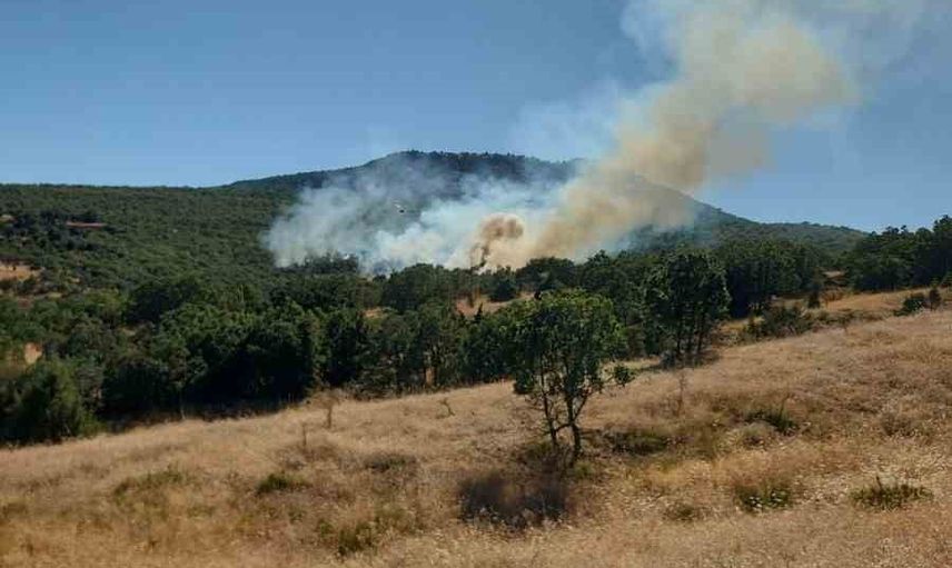Mihalıççık’ta meşe ve ardıçlık alanda helikopter destekli söndürme sürüyor