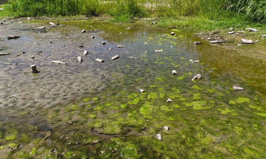 Edirne'de Tunca Nehri'nde debi sert düştü, kum adacıkları ve atıklar ortaya çıktı