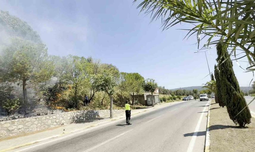 Yol kenarı alevleri ağaçlara sıçradı; Erdek'te ekipler yangını kontrol etti
