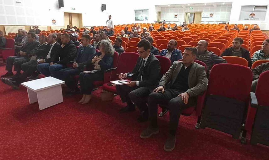 Havza ve Ladik'te süt üretimini artırmaya yönelik ortak adım