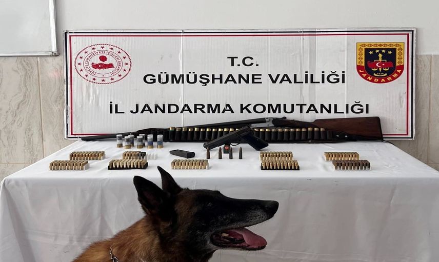 Söğüteli köyünde jandarmadan kapsamlı silah araması: ruhsatsız tabanca ve mühimmat ele geçirildi