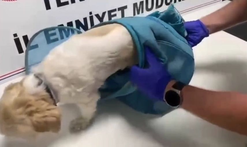 Pusetin altındaki tuzak: Tekirdağ'da uyuşturucu saklama yöntemleri gün yüzüne çıktı