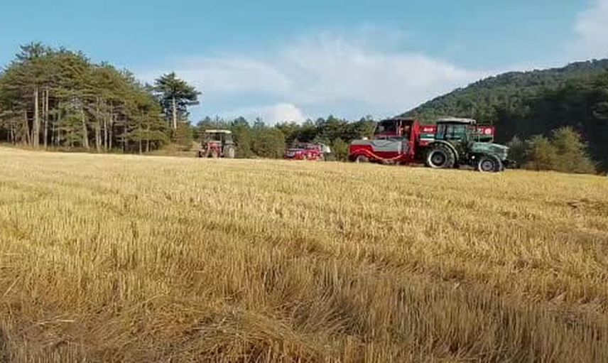 Mudurnu'da anız yangını köylülerin su tankerleriyle ormana sıçramadan söndürüldü