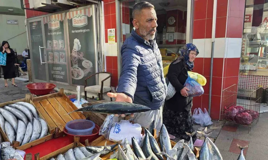 Bandırma'da palamut tezgâh fiyatları düştü, ilgi arttı