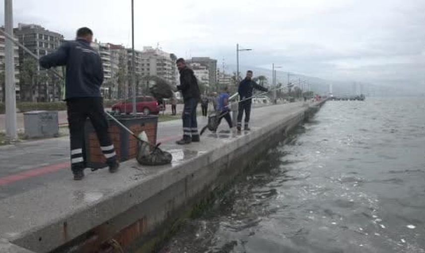 Körfezde yağmur sonrası temizlik seferleri: yılda 1.500 ton atık toplanıyor