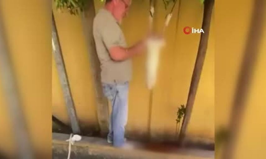 Güngören'de tavşanın sokakta kesilip derisinin yüzüldüğü görüntüler sonrası gözaltı