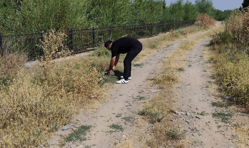 Trafikte hayat bulan kaplumbağa esnafın müdahalesiyle kurtarıldı