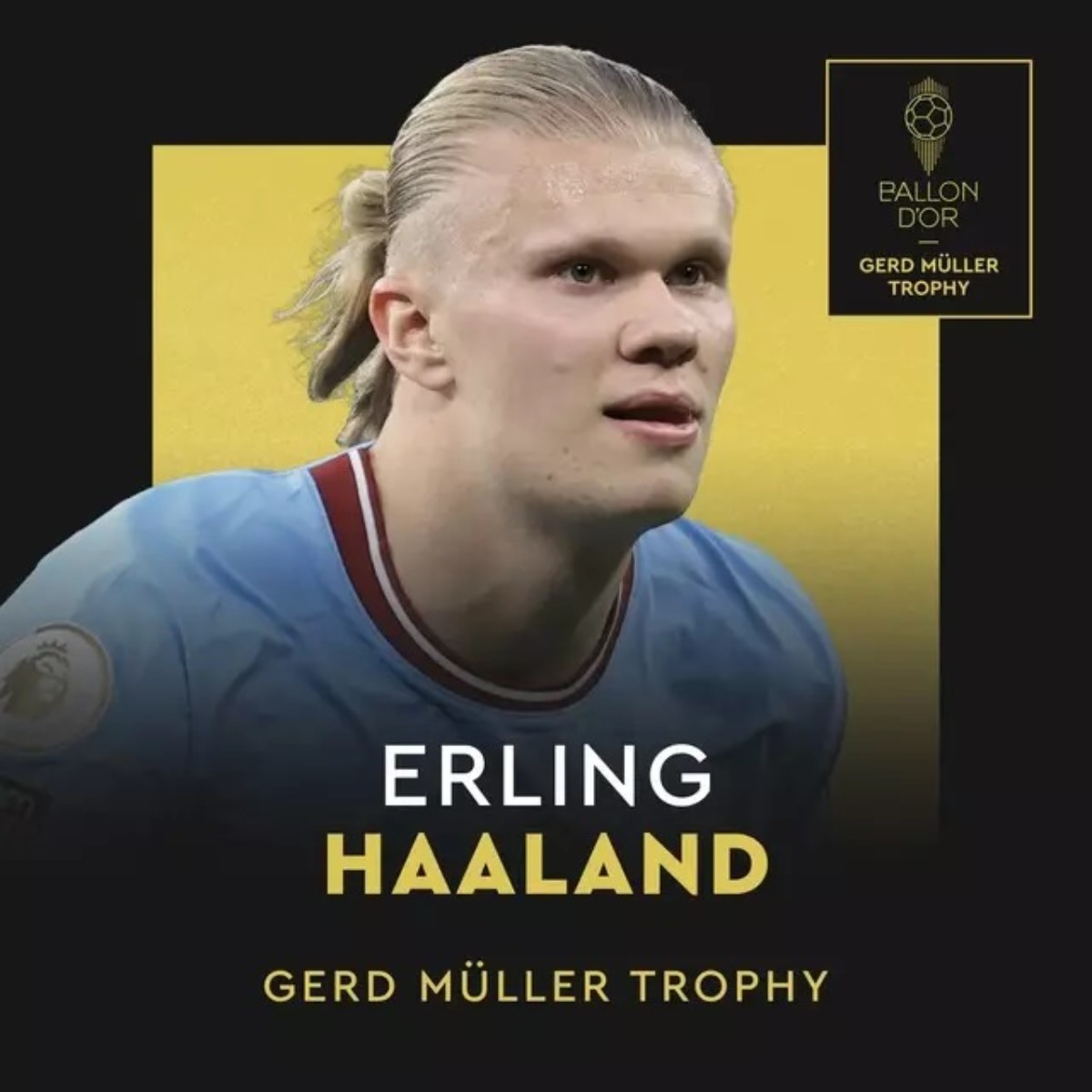 FIFA Ballon d'Or ödülü