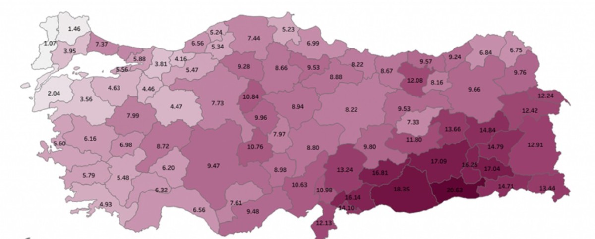 akraba evliliği oranları