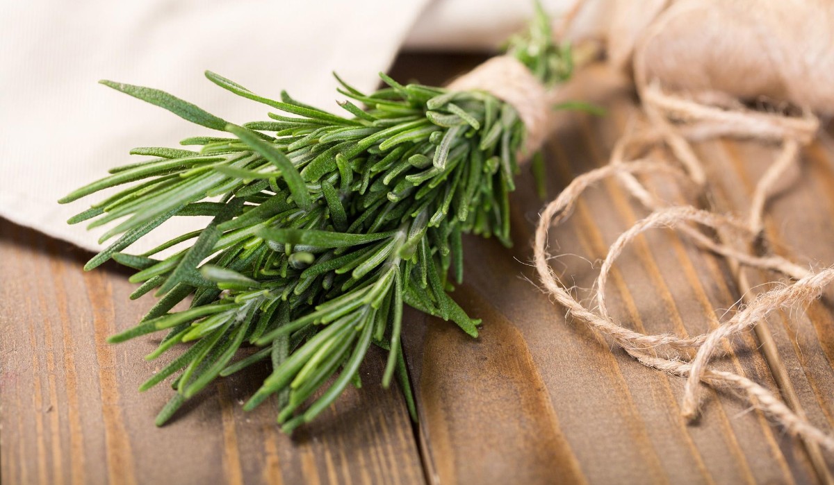 Biberiye Çayı ve Faydaları