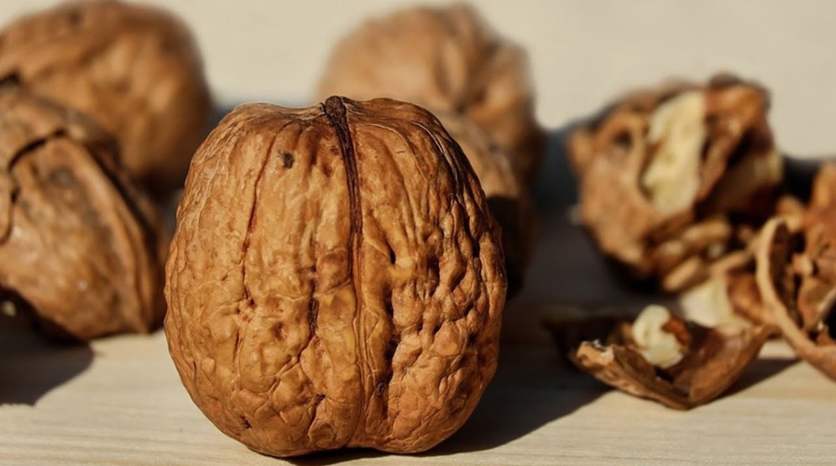 Ceviz kabuklarını sakın çöpe atmayın! Meğer vücutta mucizeler yaratıyormuş