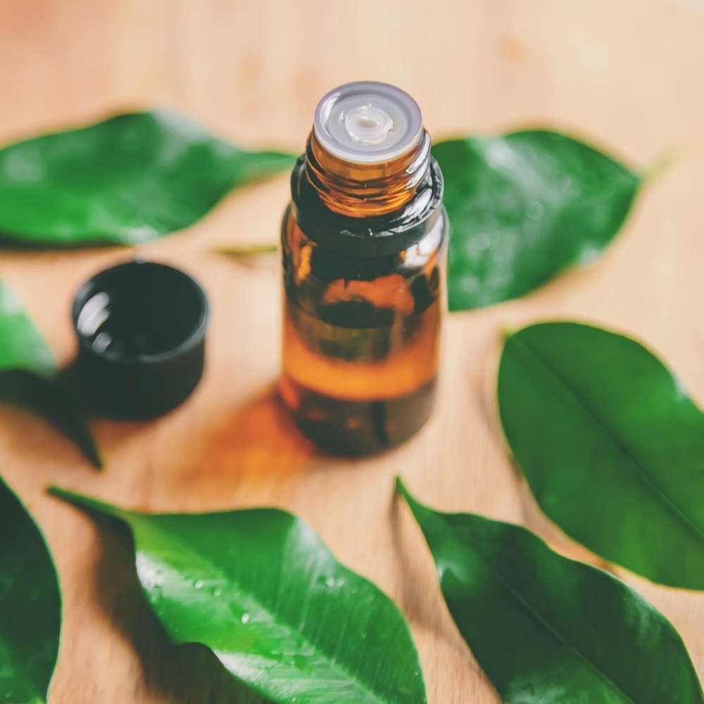 Uyuz Hastalığı: Belirtileri, Tedavisi ve Doğal Çözümleri