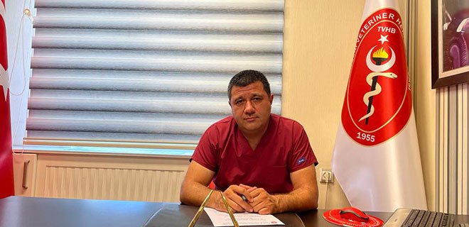 Kedi Uyuzu Nedir, Nasıl Anlaşılır ve Nasıl Korunulur?