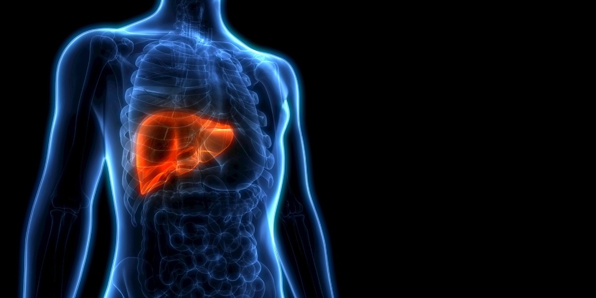 karaciğere iyi gelen besinler