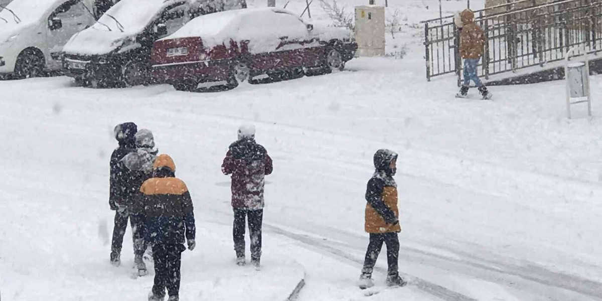 kasım ayı kar yağışı