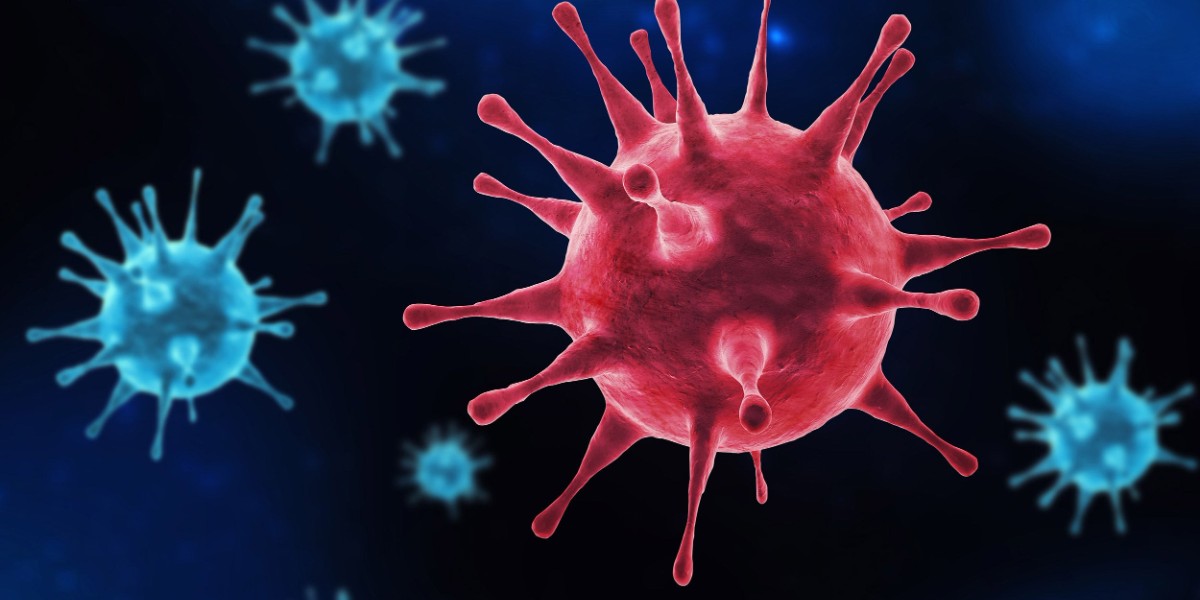 sadece erkekleri öldüren virüs ortaya çıktı