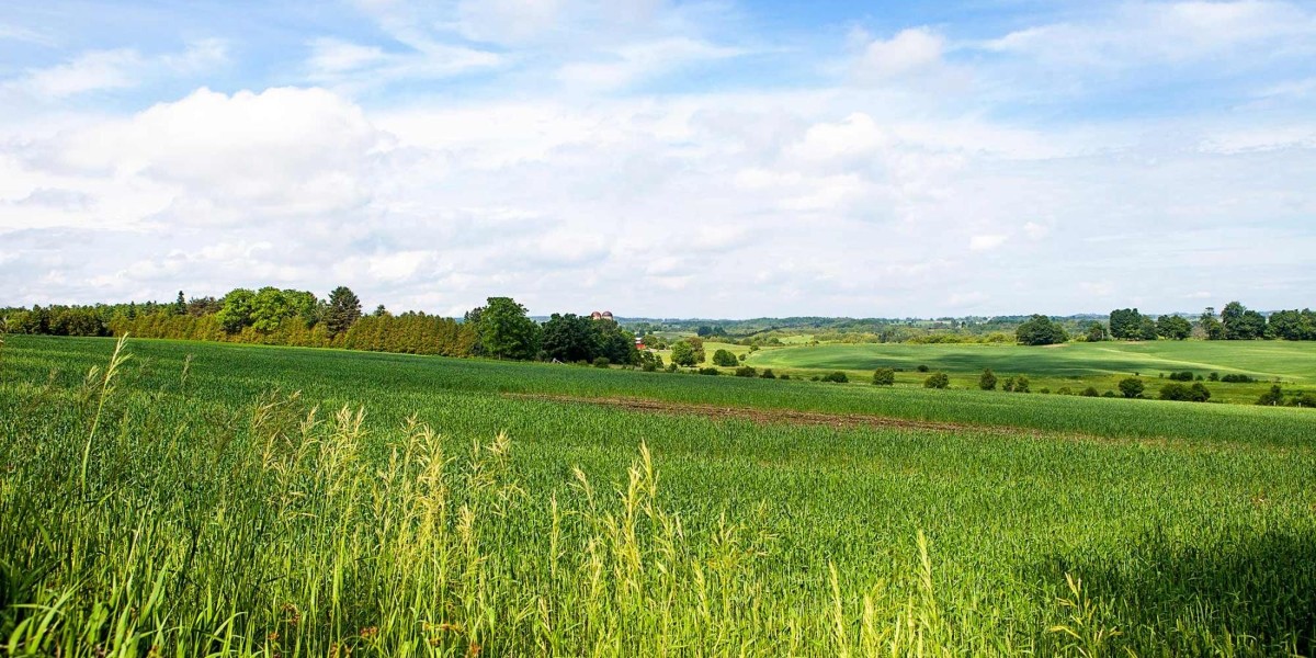 uygun fiyatlı arsa satışları başladı