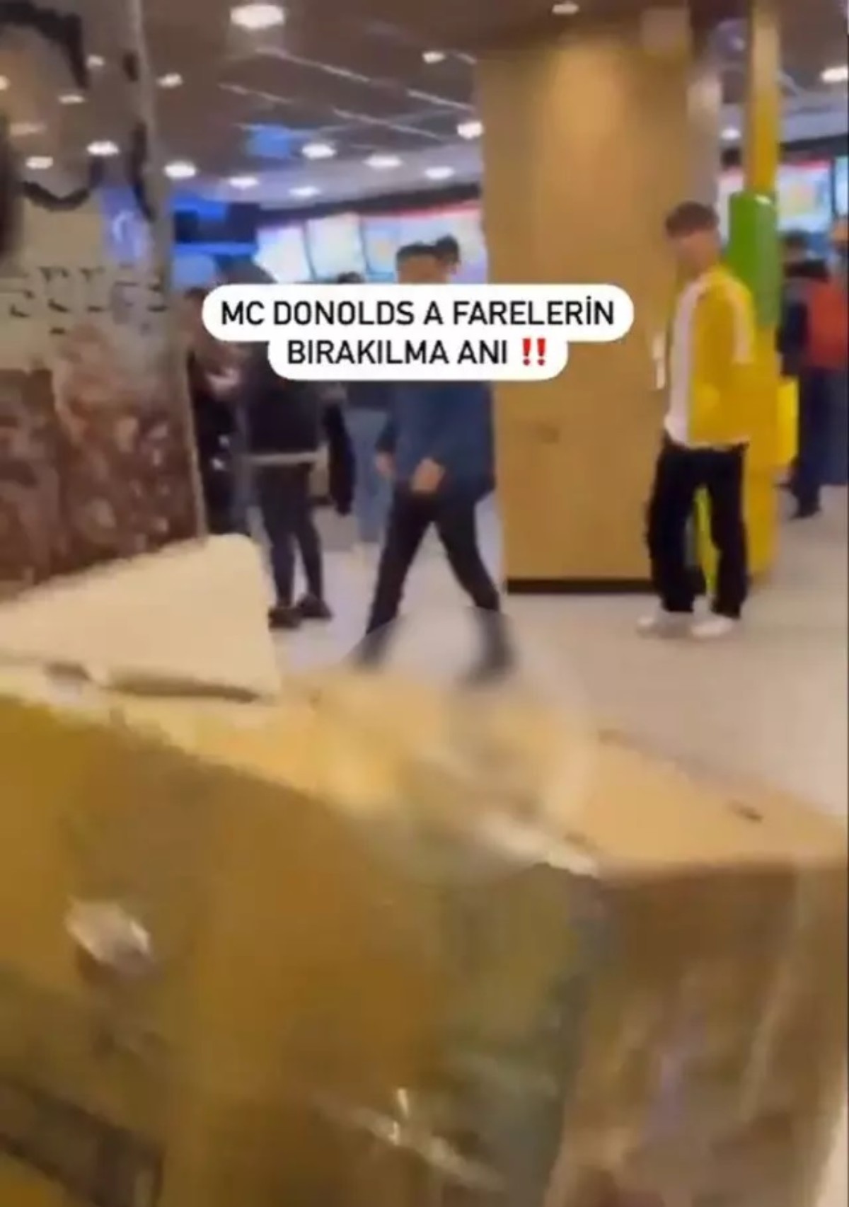 Yemek yiyen insanların arasına fare dolu kutuyu attı