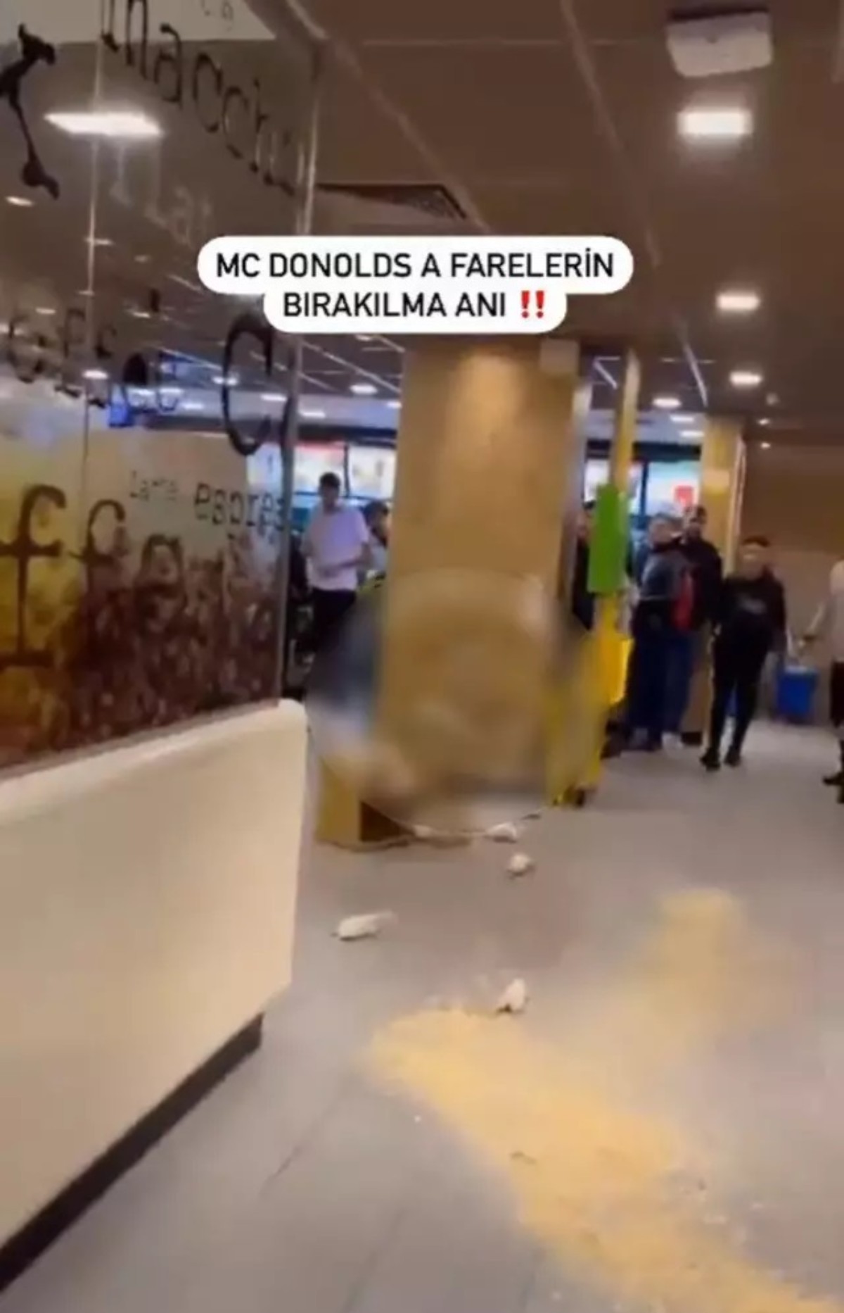 Yemek yiyen insanların arasına fare dolu kutuyu attı