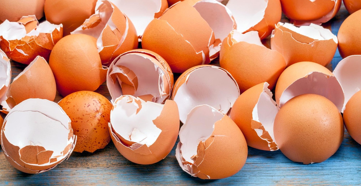 yumurta kabuğu